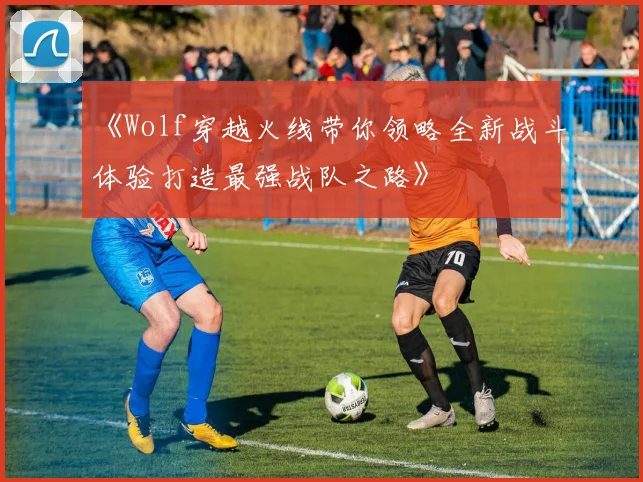 《Wolf穿越火线带你领略全新战斗体验打造最强战队之路》