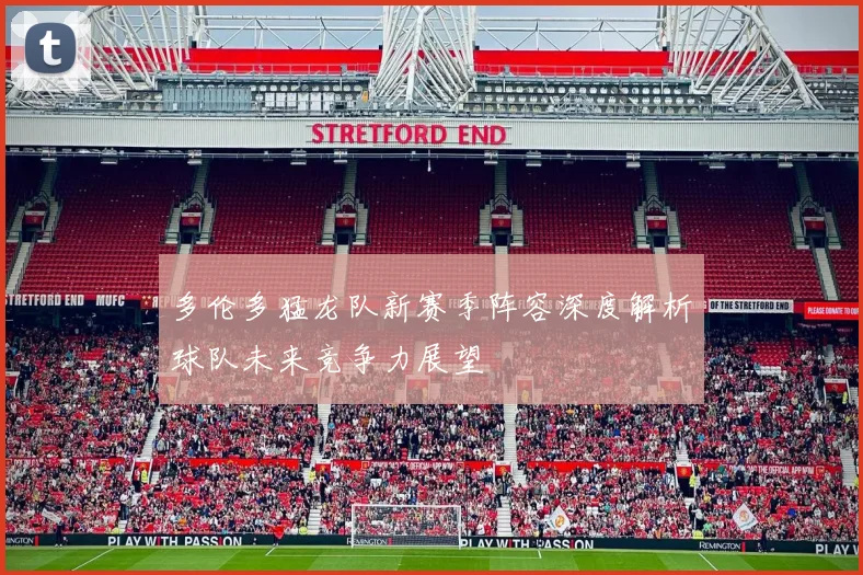 多伦多猛龙队新赛季阵容深度解析球队未来竞争力展望