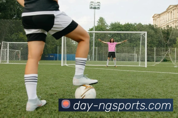 ng体育平台生态图